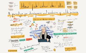 Felix nüßlein is on facebook. Breaking Down Borders Mdc Berlin