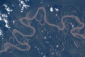 An Amazon rainforest river from space | Space photo of the day for April 30, 2026