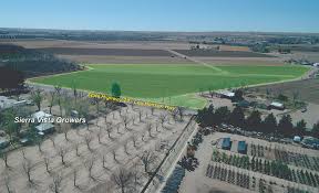 After searching far and wide across the country for a grower who could ship the beautiful jacaranda tree, i almost threw in the towel until a very…. 2817 Highway 28 Anthony Nm 88021 16 58 Acres Across Sierra Vista Growers Loopnet Com