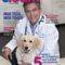 In between your veterinary visits, your pet will benefit from you reading these free informative articles. The Best 10 Veterinarians In San Diego Ca Last Updated July 2021 Yelp