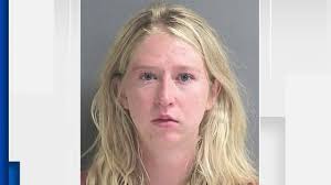 4 dogs found dead in car in New Smyrna Beach