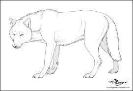 Free Lineart Wolf By Makangeni On Deviantart Wolf Drawing Canine Art Animal Drawings