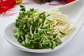 Again, like making a good. In Spring Don T Miss The 4 Alkaline Vegetables Fresh And Good Ingredients In The Season Tender And Delicious Minews