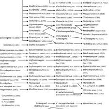 Image result for Gelrebia