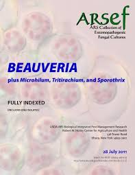 While today is a day of mixed emotions, i am very confident that the legacy of wilson's pest is in very good hands. Beauveria Agricultural Research Service Us Department Of