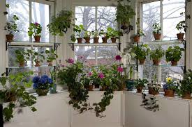 Our garden windows let in tons of natural light, particularly from above, offering a unique solution for brightening up your home. Pin On Window Dressings