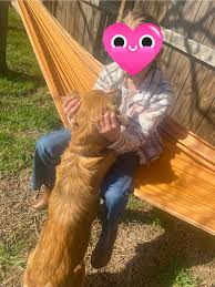 We are so over the moon excited to announce that Connie the Shipping  Container pup will be flying to us via private plane