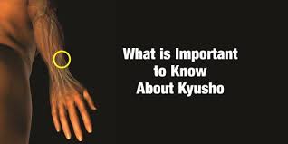 what is important to know about kyusho usadojo com