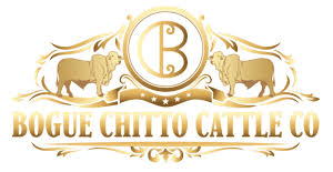 From wikimedia commons, the free media repository. About Southern Brahman Cattle Inc