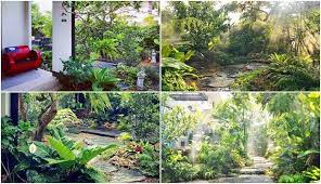 ไอเด ย การจ ดสวนสไตล สวนทรอป คอล ร มร น เย นสบาย อารมณ สวนป า tropical garden landscape tropical