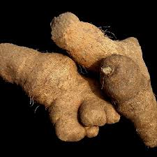 Image result for Dioscorea praehensilis