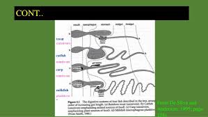 Learn how to keep your digestive tract healthy at everydayhealth.com. Digestive Physiology Of Herbivorous Fish