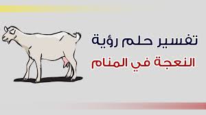 يشير رؤية الوجه القبيح في المنام إلى السوء والكراهية والشر ، ويشير أيضا إلى النوايا الخبيثة والاخبار الغير سعيدة ، ويشير وجه المرأة القبيح إلى الهموم المشاكل والعقبات التي تواجه هذه المرأة. ØªÙØ³ÙŠØ± Ø­Ù„Ù… Ø±Ø¤ÙŠØ© Ø§Ù„Ù†Ø¹Ø¬Ø© ÙÙŠ Ø§Ù„Ù…Ù†Ø§Ù… Youtube