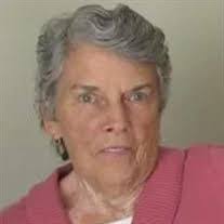 Troy Binkley's Instagram, Twitter & Facebook