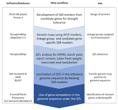 IJMS | Free Full-Text | Genome-Wide Approach to Identify Quantitative Trait  Loci for Drought Tolerance in Tetraploid Potato (Solanum tuberosum L.)