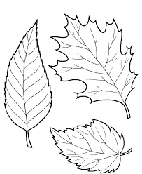 Leave a reply cancel reply. Fall Leaves Coloring Pages Best Coloring Pages For Kids