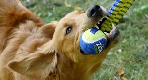 How to make tug-of-war