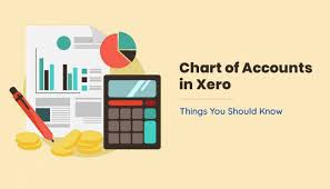 Charts Of Accounts In Xero 5 Things You Should Know In 2020 Best Accounting Software Accounting Software Chart Of Accounts