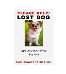 All you need to do is to paste the latest snap of your cat in place of the sample cat image on this poster template and let it print. 40 Lost Pet Flyers Missing Cat Dog Poster Templatearchive
