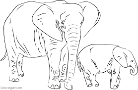 The african bush elephant, the african forest elephant and the asian elephant, which has several subspecies in different regions. Two Realistic Elephants Coloring Page Coloringall