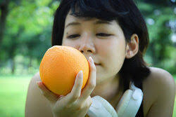 Fern House Definition & Meaning