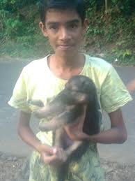 Check spelling or type a new query. German Shepherd Puppies For Sale Palakkad Kl 68003