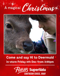 Pettitt's SuperValu Bray