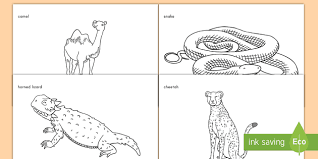 The prickly pear cactus, a juicy food for insects, birds and mammals. Desert Animals Coloring Sheets Classroom Resource Twinkl