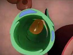 Victoria sharon explains how to look for the most common signs of skin cancer, also known as th. How Skin Cancer Spreads Mayo Clinic Youtube