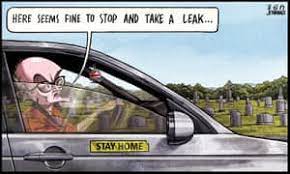 Dominic cummings drove 400 kilometres to his parents' house, flouting lockdown rules that the british prime minister boris johnson's most senior aide, dominic cummings, breached the uk's. Ben Jennings On Dominic Cummings Roaming Charge Cartoon Opinion The Guardian