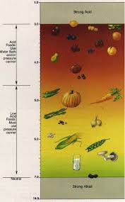 food acidity acid content of various fruits and vegetables