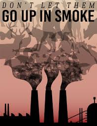 What is the greenhouse effect? Katherine Dillon Design Climate Change Poster