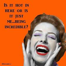 Is It Hot In Here Or Is It Just Me Is It Hot In Here Or Is It Just Me Being Incredible Inspirational True Quote Vintage Humor Retro Humor Housewife Humor