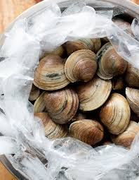 Check spelling or type a new query. New England Clam Chowder Recipe