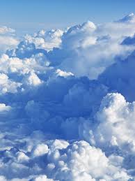 Obituary Of Mary Treloar Welcome To Ray Funeral Home Located In C