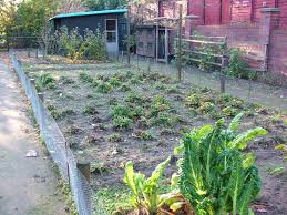 Maybe you would like to learn more about one of these? Garten Wikipedia