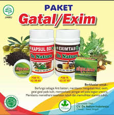 Setengah busana atasnya masih rapi tapi seluruh rok dan celananya sudah terbuka. Obat Gatal Gudik Anak Pondok Salep Eksim Di Apotik Kimia Farma Lisia Herbal