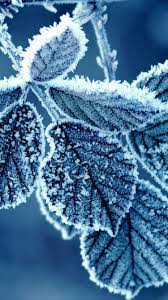 40 Best Iphone 6 Wallpapers Backgrounds In Hd Quality Winter Wallpaper Iphone Wallpaper Winter Iphone 6 Wallpaper Backgrounds