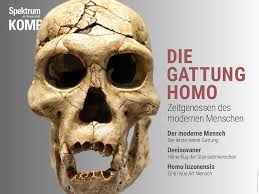 ההיסטוריה של המחר) ist ein sachbuch von yuval noah harari, professor für geschichte an der hebräischen universität jerusalem. Homo Sapiens Kam Fruher Nach Europa Als Bisher Angenommen Spektrum Der Wissenschaft