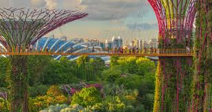 Get singapore visa for indians in 4 working days with musafir. Singapore Visa For Indian Citizens