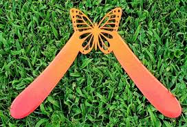 Bildergebnis für Roman Schramm