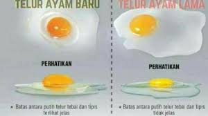 Check spelling or type a new query. Begini Tips Mudah Membedakan Telur Ayam Baru Dan Lama Pos Belitung