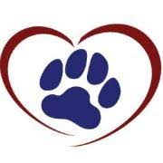 Maybe you would like to learn more about one of these? Kindness Animal Hospital Salaries Glassdoor