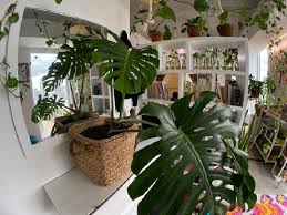 Berikut 17 trik menghadirkan taman indoor pada rumah menurut casa indonesia. Rumah Lebih Segar Dengan Dekorasi Tanaman Hijau Simak 5 Idenya Cantik Tempo Co