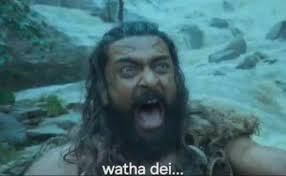 Bollywood provides more opportunities to actresses post the age of 40 than  South Indian industries."