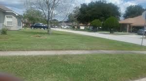 Read real reviews and see ratings for jacksonville lawn care services for free! Total Lawn Solutions Llc Reviews Jacksonville Fl Angi Angie S List
