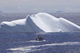 Iceberg Season Expected To Be A Good One Off Newfoundland