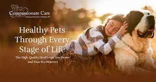 After all, some of our most beloved family members are furry and have four legs. Veterinarian In Manlius Compassionate Care Veterinary Hospital