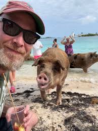 If you found me through chaos gardening or cruises… I promise, I'm still  not qualified for either. But welcome to the journey. I want my content to  be entertaining and fun. I'm