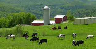 Image result for farm